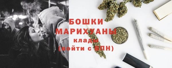 мяу мяу кристалл Няндома