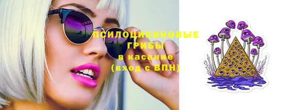 ГАЛЛЮЦИНОГЕННЫЕ ГРИБЫ Ленинск