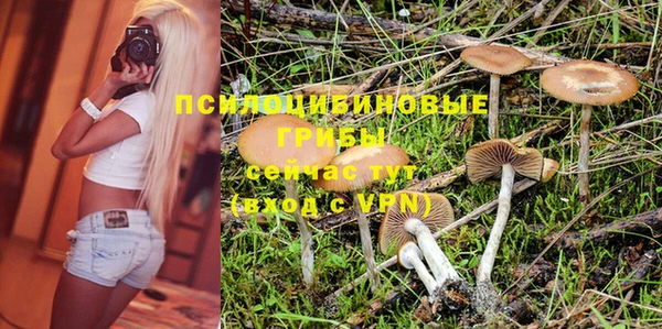 мяу мяу мука Нягань
