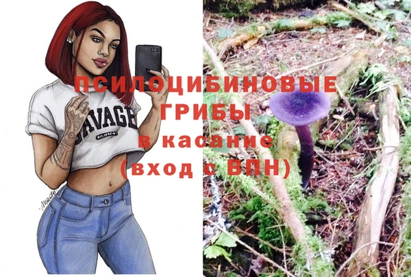 мяу мяу мука Нягань