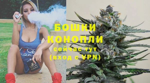 мяу мяу кристалл Няндома