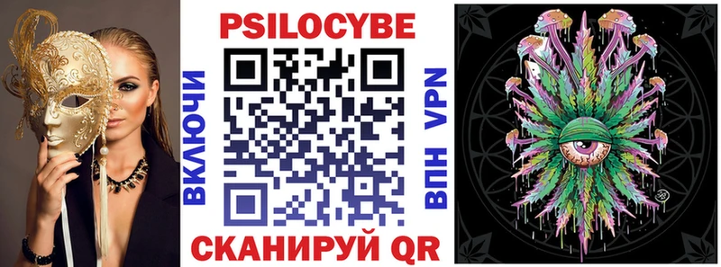 Купить где  Каменногорск  Псилоцибиновые грибы Psilocybe 